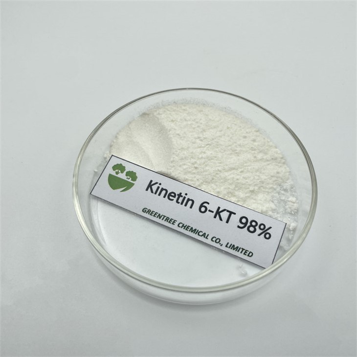 AUXIN AGROCHEMICAL 6- KT 6KT Kinetin Cytokinin 98% TC Preu