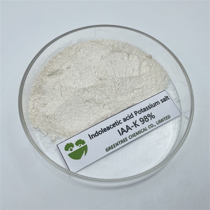 CAS 2338-19-4 Pols de creixement de plantes d'alta qualitat Àcid indolacètic Sal de potassi Iaa-K 98% Tc