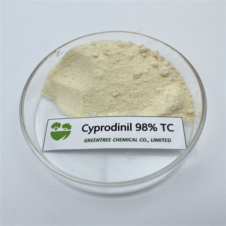 CAS NO. 121552-61-2 Fungicida Cyprodinil 98% tècnic