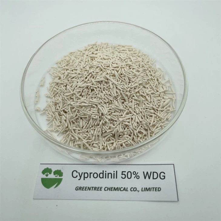 Fungicida Cyprodinil 50% Wdg Fungicida agroquímics d'alta eficiència